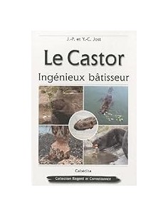 Le Castor, ingénieux bâtisseur