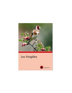 Les fringilles