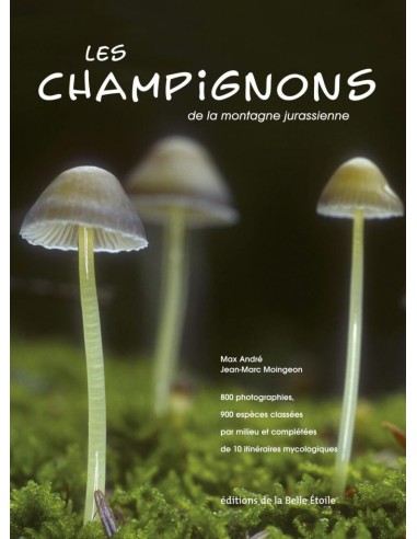 champignons de la montagne jurassienne (Les)