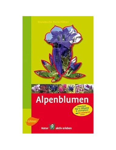 Alpenblumen