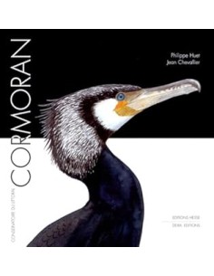 Cormoran