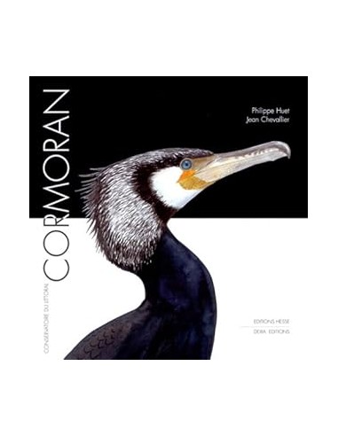 Cormoran