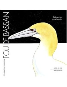 Fou de bassan