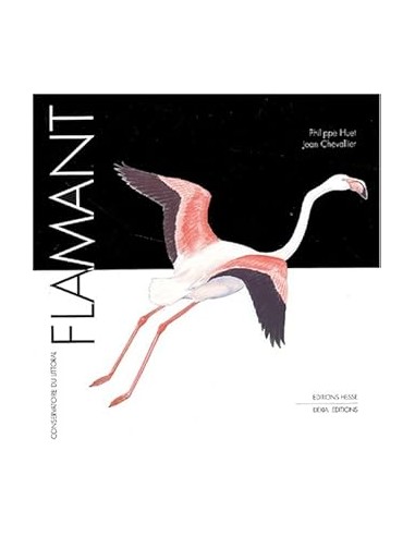 Flamant