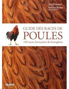 Guide complet des races de poules