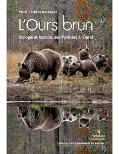 Ours brun (L')