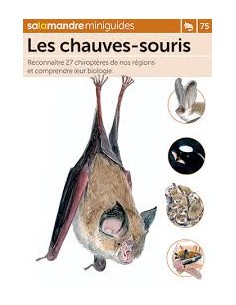 Mini-guide nr. 75 - Les chauves-souris