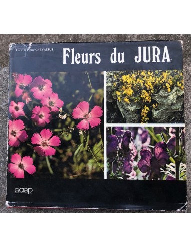 Fleurs du Jura