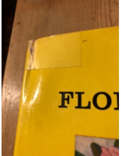 Flore alpine 2