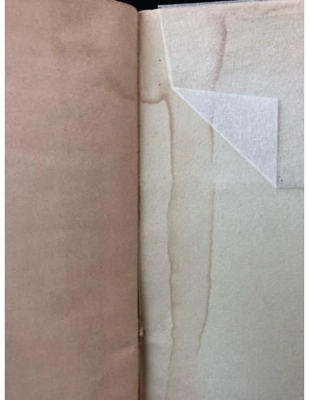 Catalogue des plantes contenues dans le Jardin alpin de la Linnea à Bourg-St-Pierre