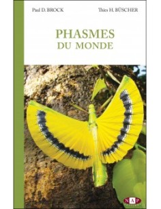 Phasmes du monde