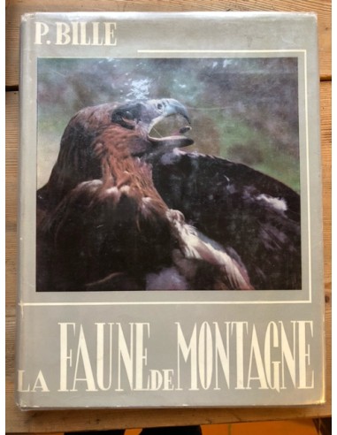 La faune de montagne