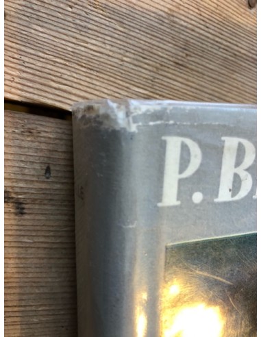 La faune de montagne