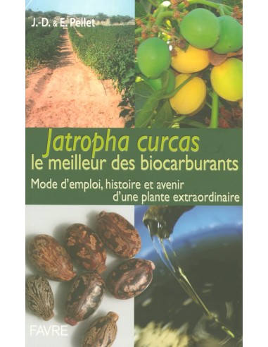 Jatropha Curcas, le meilleur des biocarburants