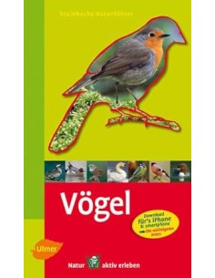 Vögel