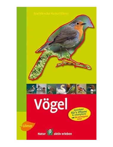 Vögel