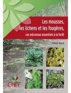 Les mousses, lichens et les fougères - ces méconnus...