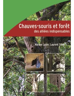 Chauves-souris et forêt, des alliées indispensables