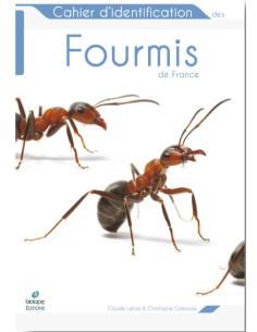 Cahier d’identification des Fourmis de France