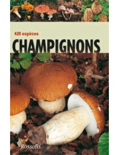 Champignons (Rossolis)