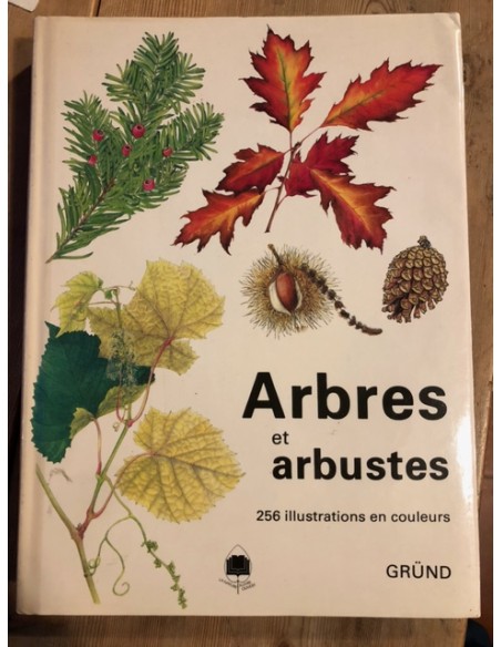 Arbres et arbustes