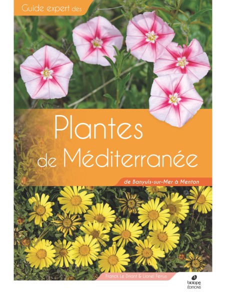Plantes de Méditerranée