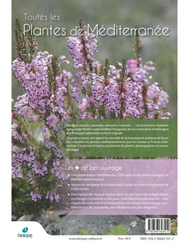Plantes de Méditerranée Plantes de Méditerranée