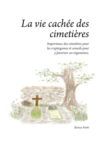 La vie cachée des cimetières