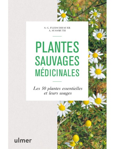 Plantes sauvages médicinales