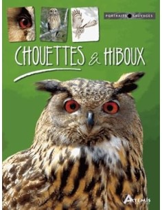 Chouettes et hiboux
