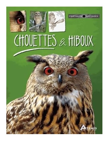 Chouettes et hiboux