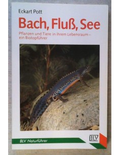 Bach, Fluss, See