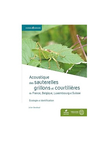 Acoustique des sauterelles, grillons et courtilières