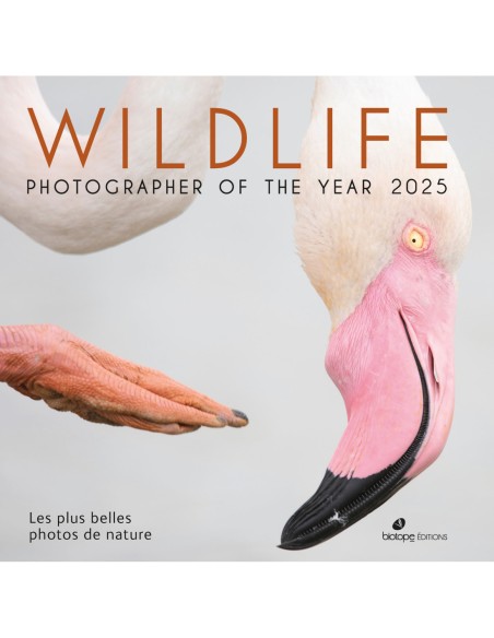 Wildlife photographer of the year 2025