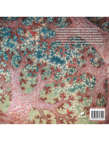 Wildlife photographer of the year 2025