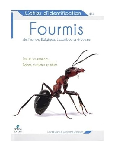 Cahier d’identification des Fourmis...