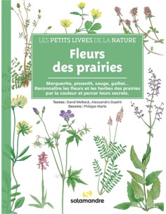 Fleurs des prairies