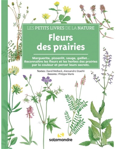 Fleurs des prairies