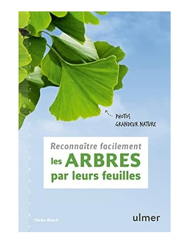 Reconnaître facilement les arbres par...