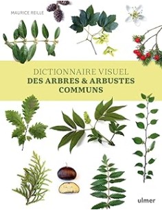 Dictionnaire visuel des arbres