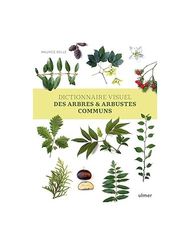 Dictionnaire visuel des arbres