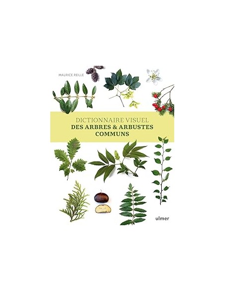 Dictionnaire visuel des arbres