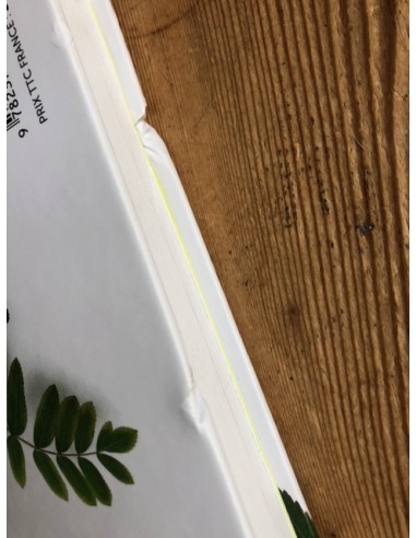 Dictionnaire visuel des arbres