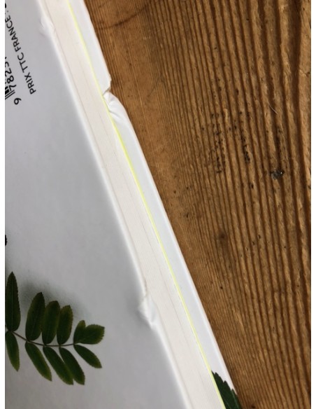 Dictionnaire visuel des arbres