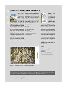 Rubrique Bibliocycle! - c!m 26