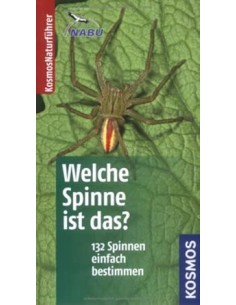 Welche Spinne ist das?