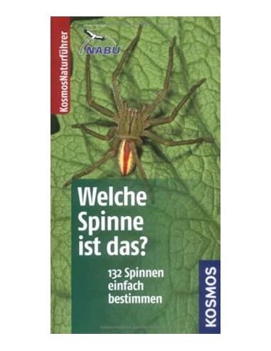 Welche Spinne ist das?