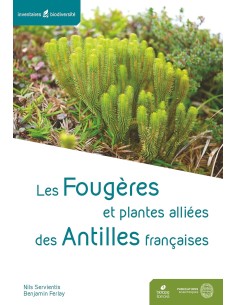 Les fougères et plantes alliées des Antilles françaises