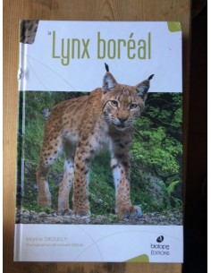 Le Lynx boréal, exemplaire soldé