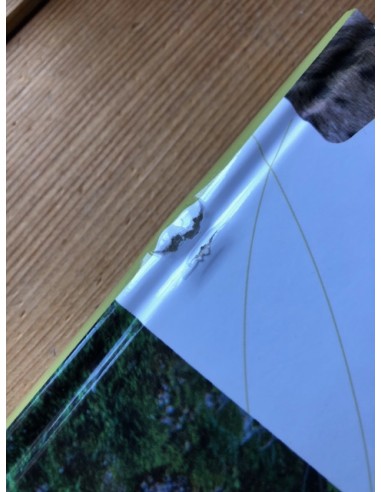 Le Lynx boréal, exemplaire soldé